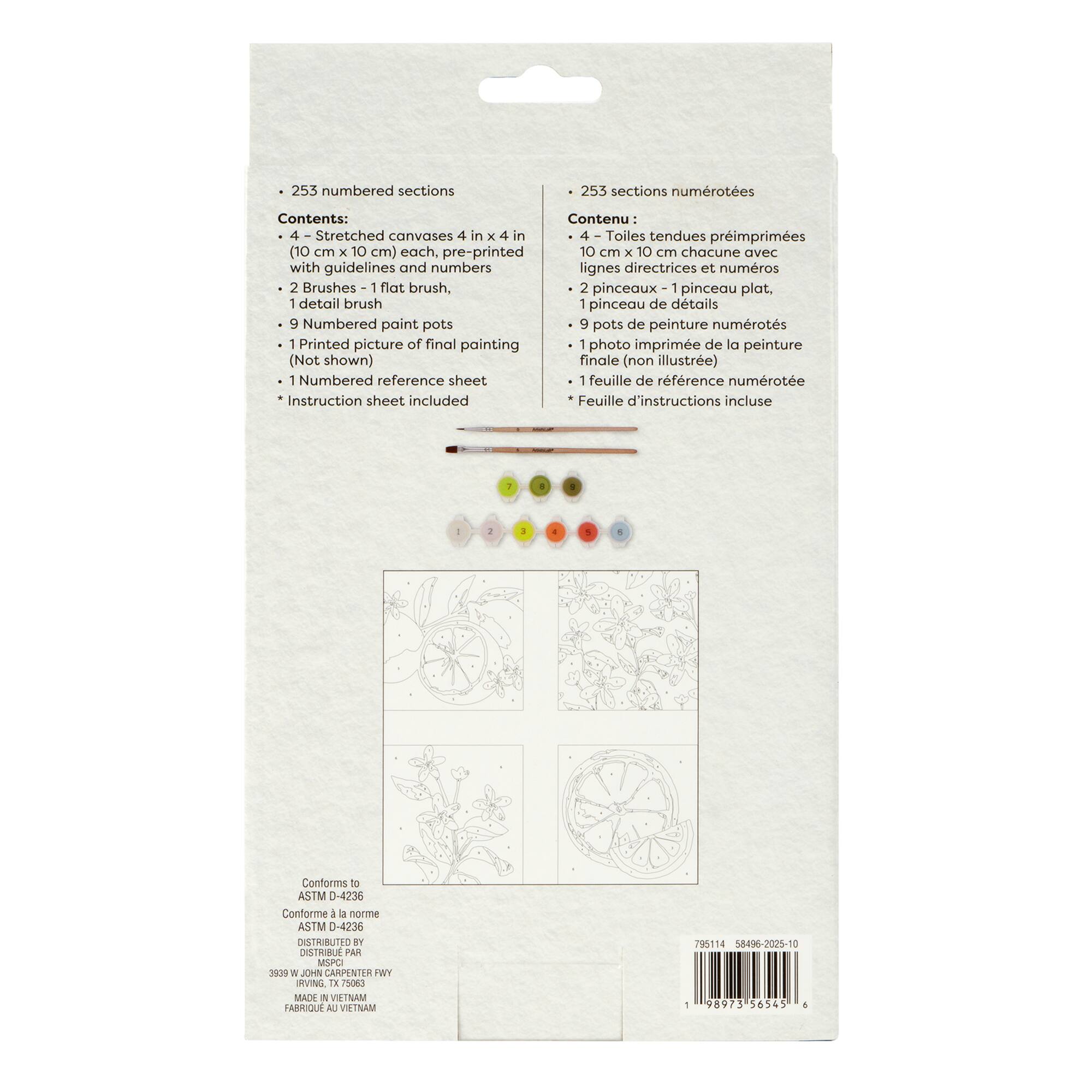 Citrus Paint-by-Number Gallery Mini Kit by Artist's Loft®
